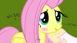 Size: 640x355 | Tagged: safe, screencap, fluttershy, princess celestia, g4, keep calm and flutter on, blushing, implied flutterlestia, meme, out of context, youtube caption