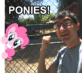 Size: 120x107 | Tagged: safe, pinkie pie, g4, brony, fence, irl, photo, photoshop, ponies in real life, richard kuta, something he thinks is good to celebrate, sonmanic, text, wat, why