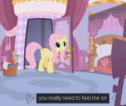 Size: 363x306 | Tagged: safe, edit, edited screencap, screencap, fluttershy, g4, suited for success, bronybait, caption, female, meme, out of context, solo, youtube caption