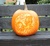 Size: 615x569 | Tagged: safe, artist:albinwonderland, rarity, g4, carving, halloween, holiday, jack-o-lantern, pumpkin
