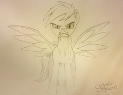 Size: 1000x772 | Tagged: safe, artist:solarspark, rainbow dash, bat pony, vampire, g4, female, race swap, rainbowbat, solo