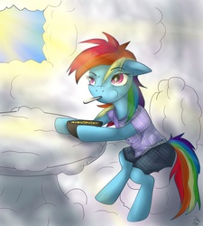 Size: 900x1000 | Tagged: safe, artist:naonii, rainbow dash, g4, cereal, clothes, female, solo