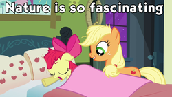 Size: 960x540 | Tagged: safe, apple bloom, applejack, g4, caption, meme, not creepy