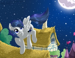 Size: 1008x784 | Tagged: safe, artist:beefcrow, oc, oc only, oc:star flash, house, moon, night, roof, solo, stars