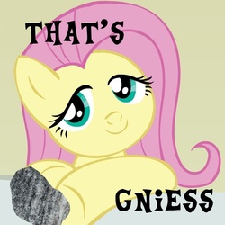 Size: 600x600 | Tagged: safe, fluttershy, g4, artifact, caption, female, geology, gneiss, image macro, misspelling, pun, rock, rock pun, solo, that's nice