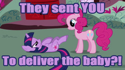 Size: 640x360 | Tagged: safe, edit, edited screencap, screencap, pinkie pie, twilight sparkle, earth pony, pony, unicorn, g4, artifact, caption, female, image macro, mare, out of context, purple text