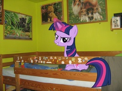 Size: 2592x1944 | Tagged: safe, twilight sparkle, g4, bed, butt, irl, photo, plot, ponies in real life, solo