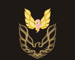 Size: 1280x1024 | Tagged: safe, fluttershy, g4, simple background, solo, spread wings, trans-am, wings