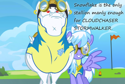 Size: 800x539 | Tagged: safe, edit, edited screencap, screencap, bulk biceps, cloudchaser, g4, my little pony: friendship is magic, wonderbolts academy, awesome mccoolname, female, insane pony thread, male, shipping, straight