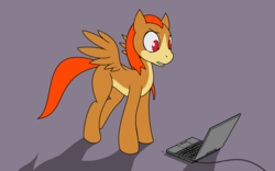 Size: 2560x1600 | Tagged: safe, artist:darkdoomer, oc, oc only, oc:patachu, pegasus, pony, destroyed, keyboard, laptop computer, ms paint, ponified, toshiba
