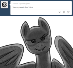 Size: 1280x1200 | Tagged: safe, artist:maccoffee, ask, solo, tumblr, weeping angel, weeping pegasus