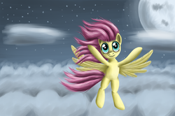 Size: 1920x1276 | Tagged: safe, artist:polex, artist:polex-p, fluttershy, pegasus, pony, g4, cloud, cloudy, female, looking up, mare, moon, night, night sky, sky, solo