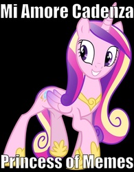 Size: 789x1012 | Tagged: safe, princess cadance, g4, female, image macro, solo