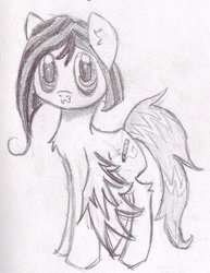 Size: 785x1018 | Tagged: dead source, safe, artist:thedogfacedboy, oc, oc only, oc:pencil dust, pegasus, pony, monochrome, solo, traditional art