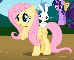 Size: 665x540 | Tagged: safe, screencap, angel bunny, fluttershy, owlowiscious, twilight sparkle, pony, unicorn, g4, may the best pet win, animated, cropped, cute, horses doing horse things, offscreen character, pawing the ground, shyabetes, unicorn twilight