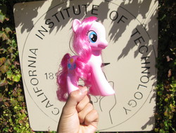 Size: 3264x2448 | Tagged: safe, pinkie pie, g4, brushable, california institute of technology, college, hand, irl, photo, ponies around the world, toy