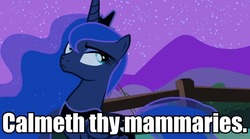 Size: 795x442 | Tagged: safe, edit, edited screencap, screencap, princess luna, g4, luna eclipsed, calm your tits, eyeroll, female, fence, image macro, solo, ye olde butcherede englishe