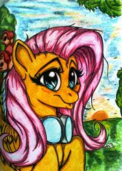 Size: 1395x1963 | Tagged: safe, artist:tomek2289, fluttershy, g4, female, goggles, solo, traditional art