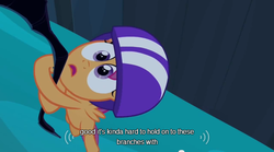 Size: 640x355 | Tagged: safe, screencap, scootaloo, pegasus, g4, sleepless in ponyville, female, filly, foal, helmet, meme, river, solo, tree branch, water, youtube caption