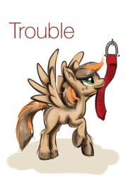 Size: 768x1024 | Tagged: safe, artist:stormsurge, oc, oc only, oc:trouble, pegasus, pony, female, general, mare, solo