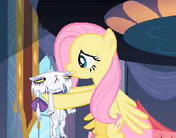 Size: 687x540 | Tagged: safe, screencap, fluttershy, opalescence, g4, sweet and elite, animated, drenched, female, hape, hug, opalabuse, wet