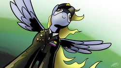 Size: 1920x1080 | Tagged: safe, artist:dori-to, derpy hooves, pegasus, pony, g4, clothes, female, hat, mare, medal, military, smiling, solo, uniform