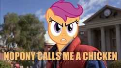 Size: 960x540 | Tagged: safe, scootaloo, chicken, human, g4, back to the future, caption, image macro, irl, irl human, marty mcfly, meme, movie, orange text, photo, reference, scootachicken, scootaloo is not amused, text