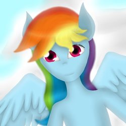 Size: 894x894 | Tagged: safe, artist:untalentedude, rainbow dash, g4, female, solo