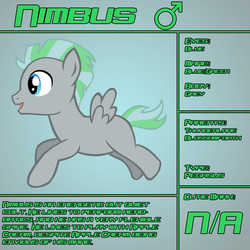 Size: 1200x1200 | Tagged: safe, artist:ludiculouspegasus, oc, oc only, oc:nimbus, pegasus, pony, bio, colt, male, offspring, parent:blossomforth, parent:thunderlane, parents:blossomlane, reference sheet, solo, text