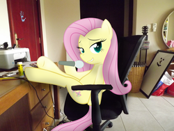 Size: 4288x3216 | Tagged: dead source, safe, artist:missbeigepony, fluttershy, pony, innocence.mov, g4, basket, bedroom eyes, cd, chair, door, headphones, irl, looking at you, microphone, mirror, photo, ponies in real life, sitting, solo, vector