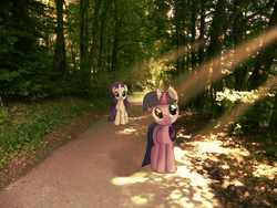 Size: 3264x2448 | Tagged: safe, artist:colorfulbrony, rarity, twilight sparkle, g4, forest, irl, pathway, photo, ponies in real life, shadow, sunlight, tree, vector