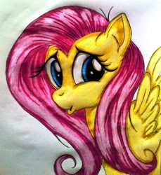 Size: 1372x1501 | Tagged: safe, artist:tomek2289, fluttershy, g4, female, solo, traditional art