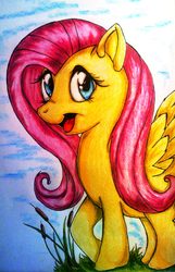 Size: 1177x1829 | Tagged: safe, artist:tomek2289, fluttershy, g4, female, solo, traditional art