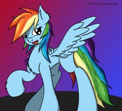 Size: 1747x1584 | Tagged: safe, artist:macmc2, rainbow dash, g4, chest fluff, female, solo