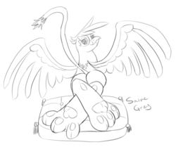 Size: 1500x1253 | Tagged: safe, artist:saine grey, gilda, griffon, g4, butt, feet, female, looking at you, monochrome, paw pads, paws, plot, sketch, solo, wings