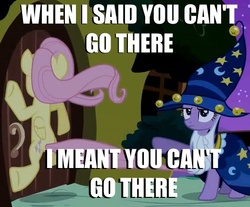 Size: 520x430 | Tagged: safe, edit, edited screencap, screencap, fluttershy, twilight sparkle, g4, luna eclipsed, clothes, cosplay, costume, cropped, door, flutterdoor, fluttershy vs door, meme, nightmare night, nightmare night costume, star swirl the bearded costume, twilight the bearded