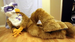 Size: 1024x577 | Tagged: safe, artist:spainfischer, gilda, griffon, human, g4, cosplay, fursuit, irl, irl human, photo, solo, sydneyroo(coser)