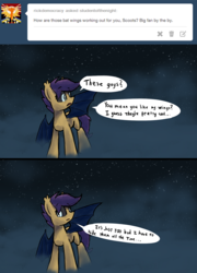 Size: 1119x1553 | Tagged: safe, artist:darkflame75, scootaloo, bat pony, pony, g4, ask, bat ponified, female, race swap, scootabat, solo, student of the night, tumblr