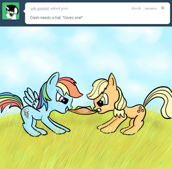 Size: 1200x1186 | Tagged: safe, artist:redesine, applejack, rainbow dash, ask applejack and rainbow dash, g4, ask, hat