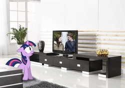Size: 1129x800 | Tagged: safe, artist:tokkazutara1164, twilight sparkle, g4, cross-eyed, floppy ears, frown, irl, movie, o.o, photo, ponies in real life, rug, television, twilight (series), vector