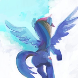 Size: 600x600 | Tagged: safe, artist:plega, rainbow dash, g4, backlighting, behind, butt, female, flying, plot, sky, solo