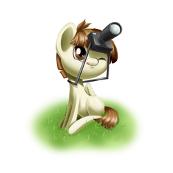 Size: 2000x2000 | Tagged: safe, artist:renatethepony, featherweight, g4, camera, cute, featherbetes, male, solo
