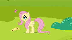 Size: 640x360 | Tagged: safe, artist:mixermike622, fluttershy, oc, oc:fluffle puff, g4, abuse, animated, flutterbuse, pillow, pillow fight, tank (vehicle)