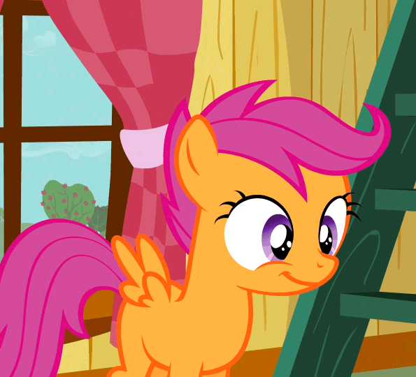 Mlp Scootaloo Solo - 468725 - safe, screencap, scootaloo, pegasus, pony, sleepless in ponyville,  animated, blank flank, clubhouse, crusaders clubhouse, cute, cutealoo,  female, filly, flapping, flapping wings, fluttering, foal, gif, happy, open  mouth, smiling, solo, window,