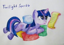 Size: 900x632 | Tagged: safe, artist:0okami-0ni, twilight sparkle, g4, female, solo