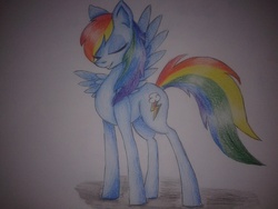 Size: 2560x1920 | Tagged: safe, artist:matyldaf1, rainbow dash, g4, female, solo