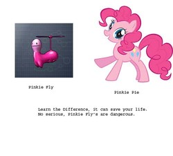 Size: 500x450 | Tagged: safe, pinkie pie, g4, opoona, pink fly