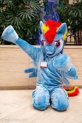 Size: 4912x7360 | Tagged: safe, rainbow dash, human, g4, absurd resolution, cosplay, fursuit, irl, irl human, photo, solo