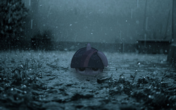 Size: 1920x1200 | Tagged: safe, artist:bryal, twilight sparkle, g4, irl, photo, ponies in real life, rain