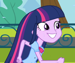 Size: 646x539 | Tagged: safe, screencap, twilight sparkle, equestria girls, g4, my little pony equestria girls, female, irrational exuberance, solo